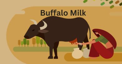 Wellhealthorganic Buffalo Milk Tag: Unveiling the Nutritional Powerhouse