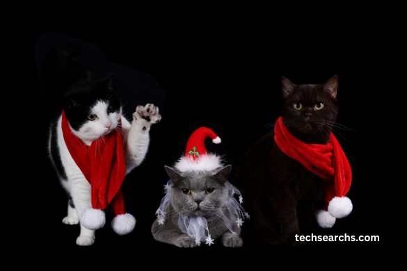 What is Cute:ardt7e-pu3w= Christmas?