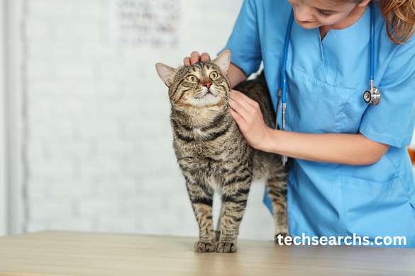 The Future of ‘mfyjcu3hidu’ in Art