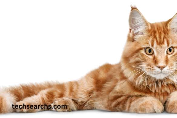 Case Studies: Prominent Artists and Their ‘mfyjcu3hidu’ Creations