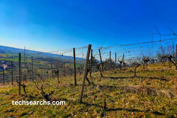 Innovations in Design and Construction