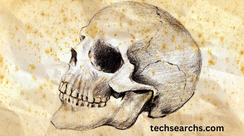 Drawing: Oldj_7nsvxk = Skull – A Deep Dive into Skull Art