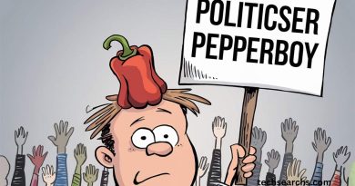 Politicser Pepperboy: A Unique Blend of Flavor and Influence in the Political Arena